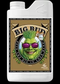 Big Bud Coco