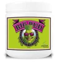 Big Bud Powder