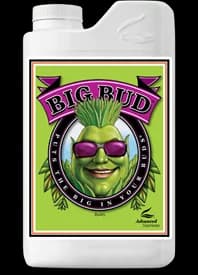 Big Bud