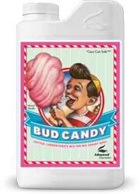 Bud Candy