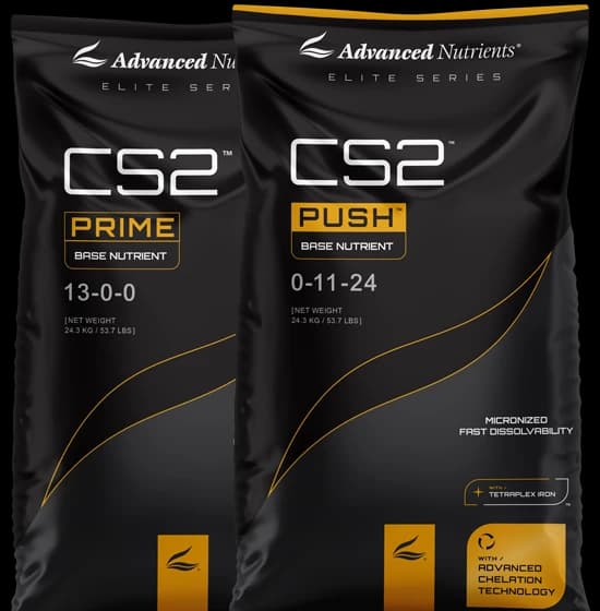 CS2 Prime & Push