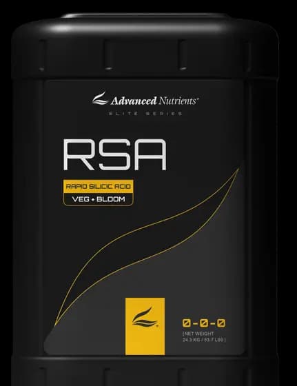 RSA