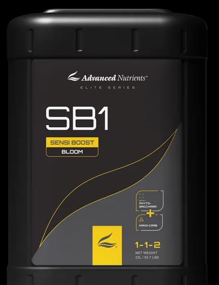 SB1