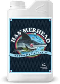 Hammerhead