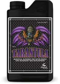 Tarantula
